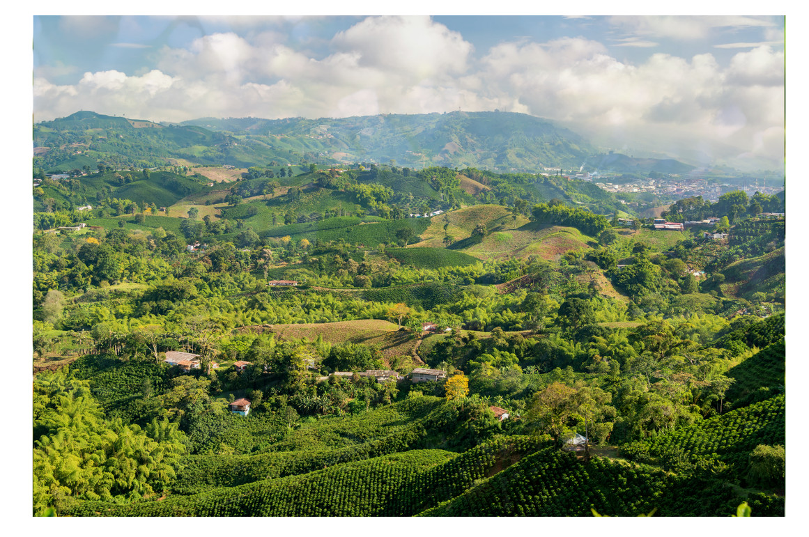 Colombia SUPREMO - Unroasted Coffee Bean - 2, 5, 10, 20lb bag Single Origin gallery
