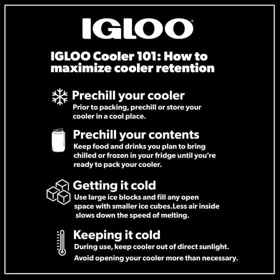 Igloo Small Cooler, 9 Quart Laguna Ice Chest, 13 Can Capacity, Red gallery