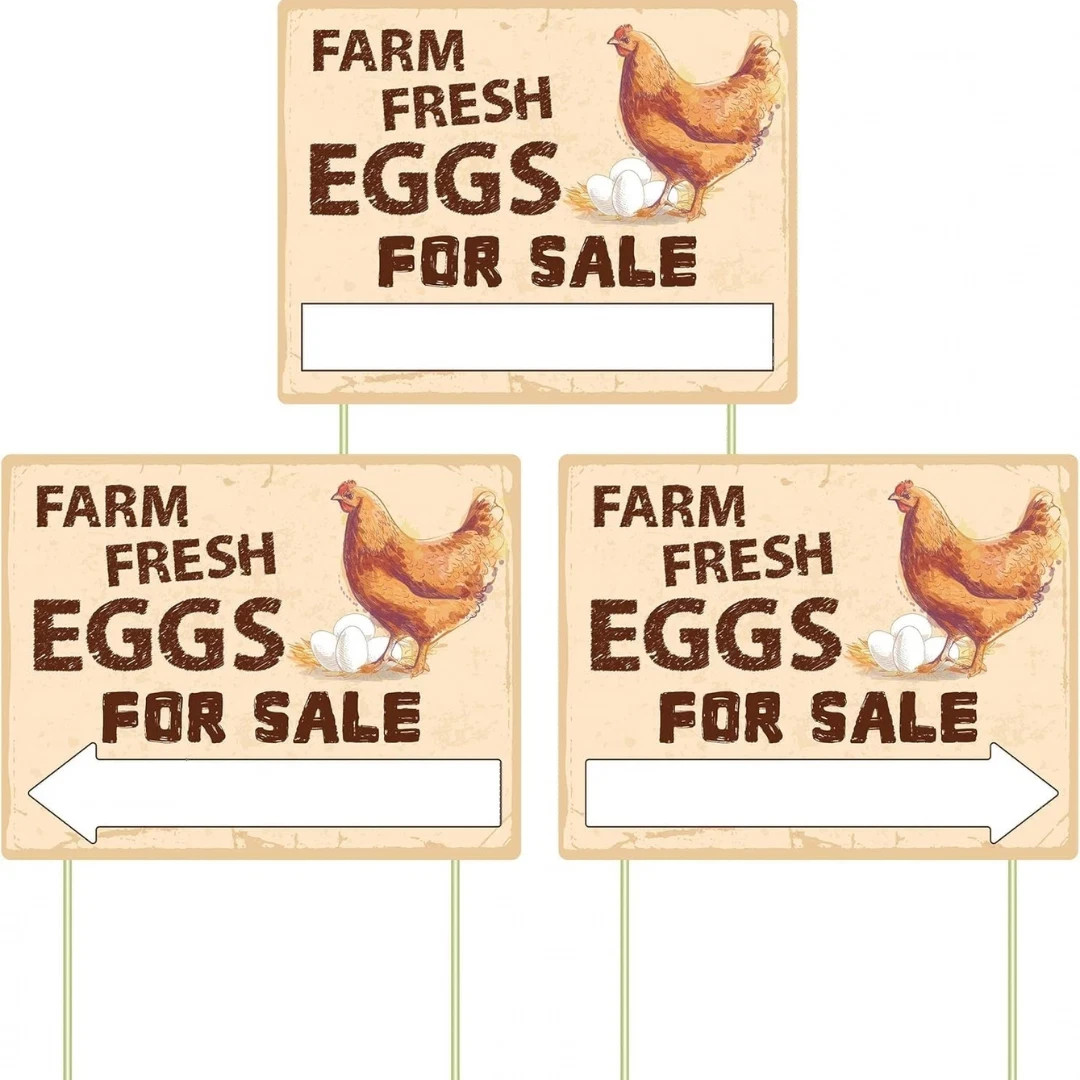 3Pcs Double Sided Farm Fresh Eggs Sign Eggs for Sale Sign Corrugated Plastic Fre gallery