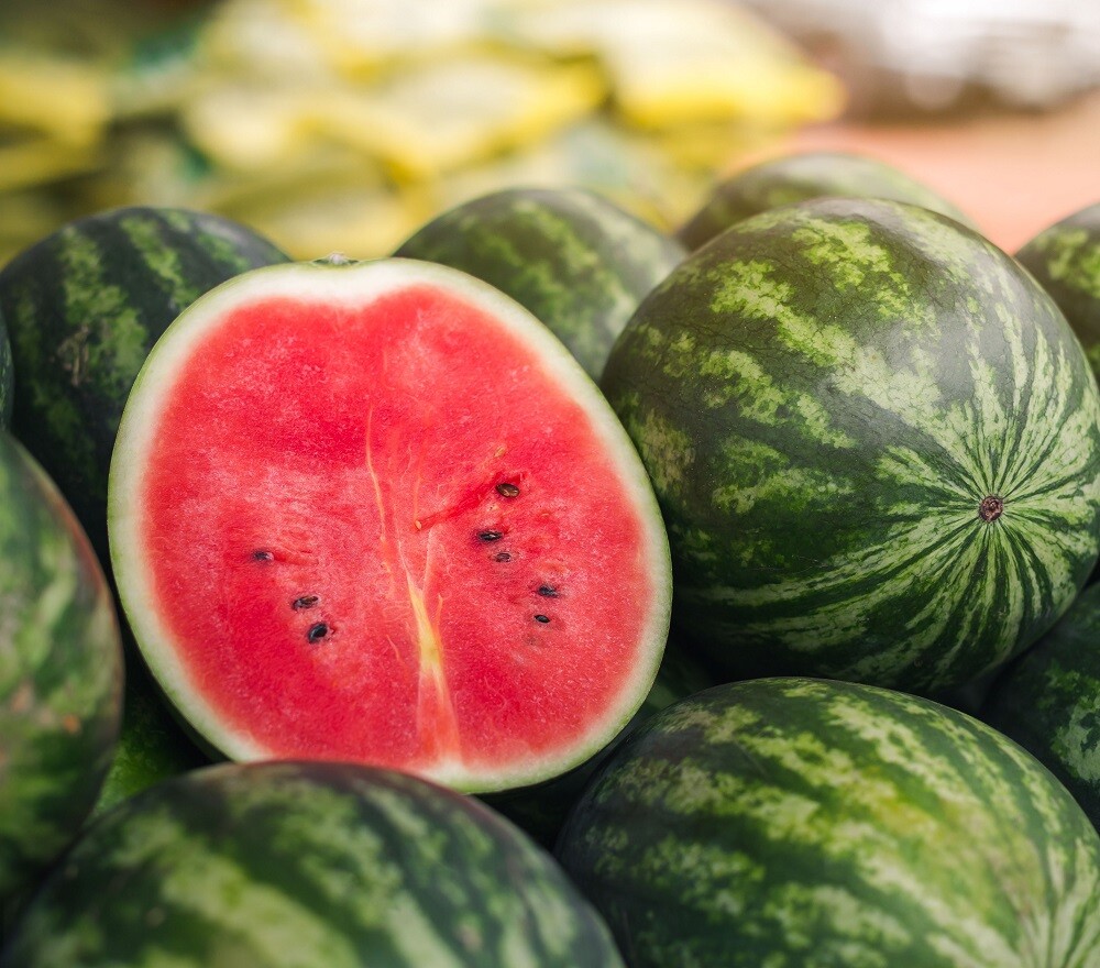 Greybelle Watermelon Seeds | Heirloom | Non-GMO | Fresh Garden Seeds gallery
