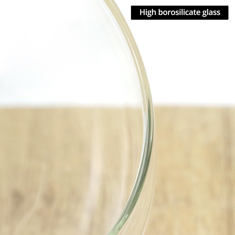 Modern Hand-Blown High Borosilicate Glass Plant Terrarium, Crystal Clear,2 pack gallery