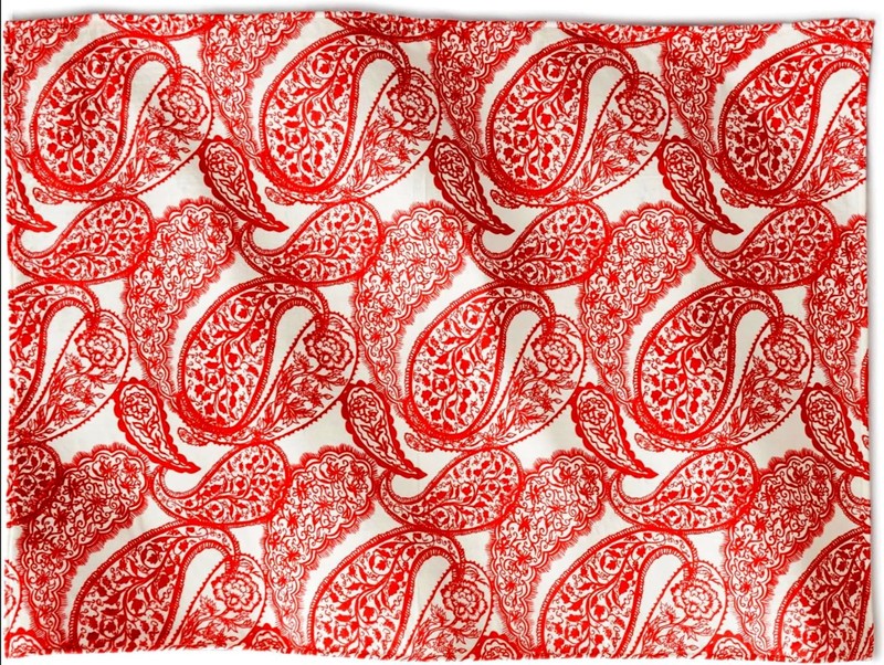 Vera Bradley Oversized Throw Blanket (66" x 94") in Paisley Key gallery