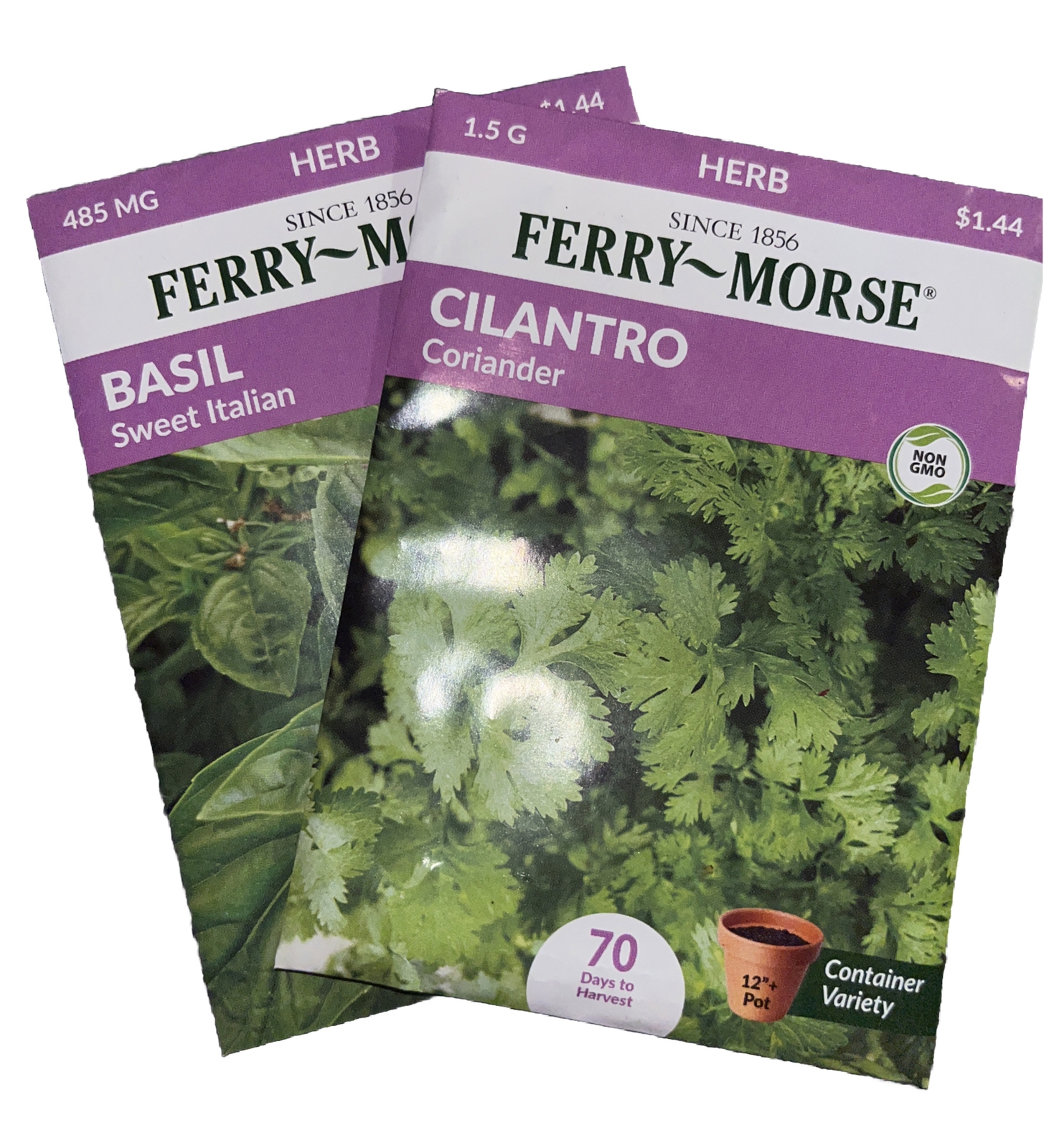 Basil Cilantro - Coriander Herb Garden Seeds NON-GMO - Ferry Morse 4 Pack 12/22 gallery