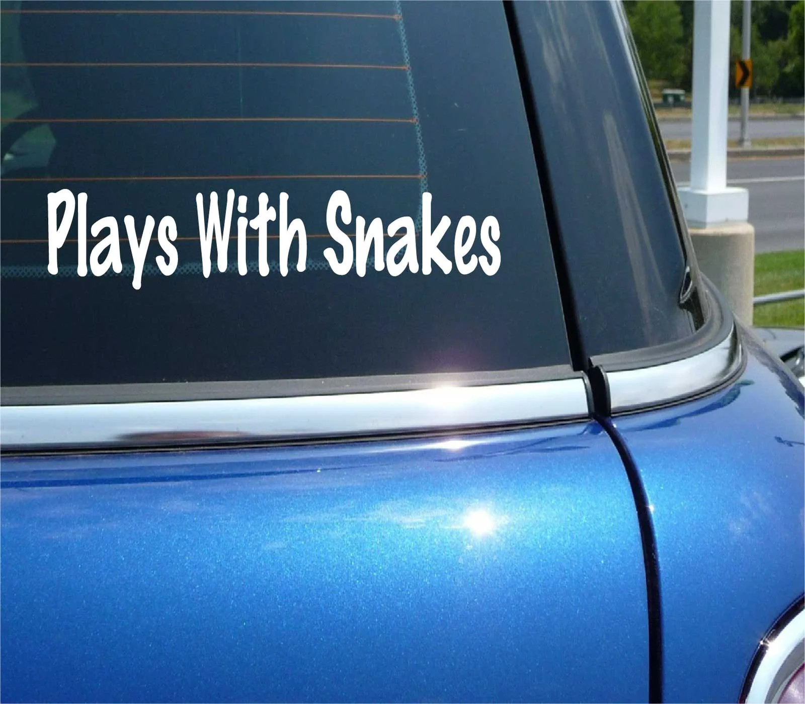 PLAYS WITH SNAKES DECAL STICKER PET FAN REPTILE INDIA CHARMER PET SLITHER gallery