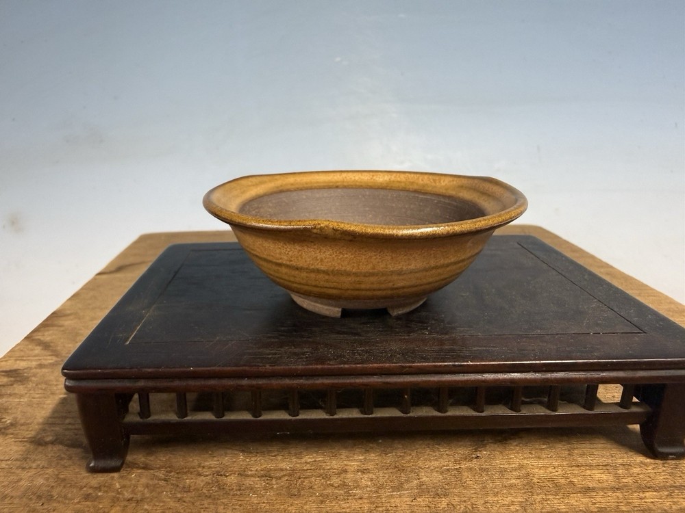 Japanese Unknown Maker Shohin Bonsai Tree Pot 3 1/2 By 1 1/4” Mustard Glaze