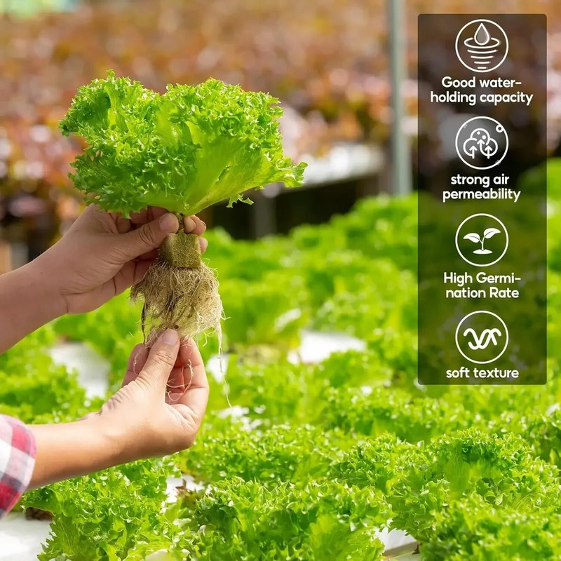 Stonewool Hydroponic Grow Media Cubes Plant Cube Soilless Substrate Seeded Plant gallery