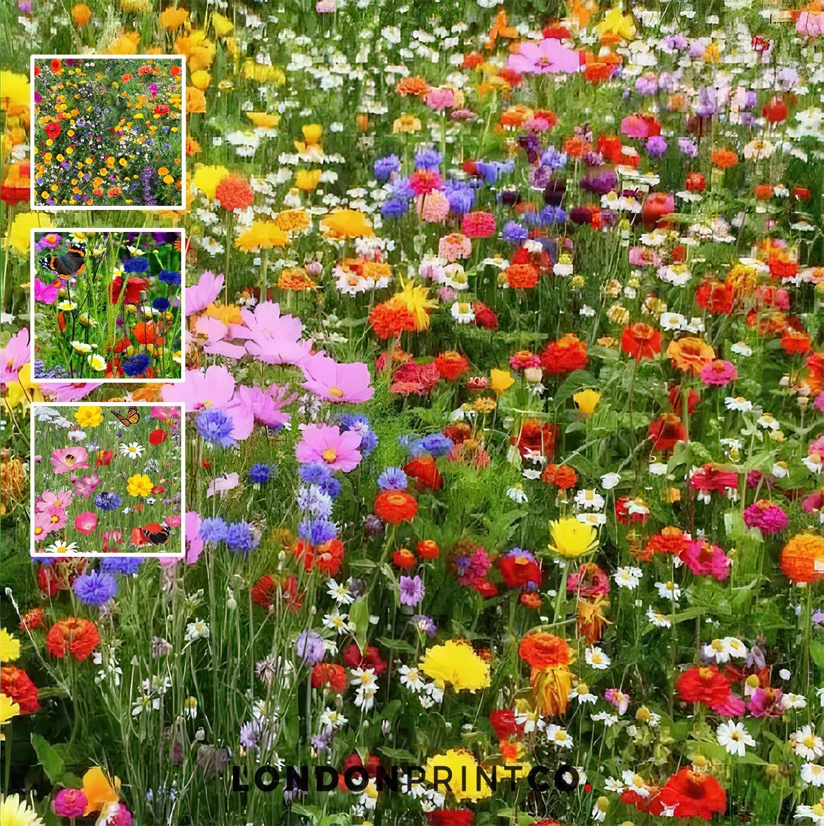 Personalised Kids Wildflower Seed Packets ECO Birthday Party Bag Filler gallery