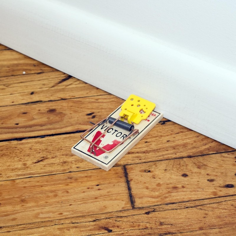 Set Wooden Snap Trap - 12 Pack gallery