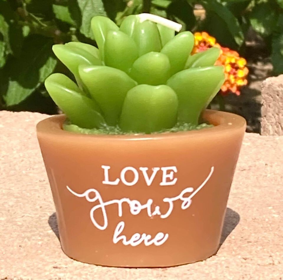Succulent Candle Love Grows Here Home Collectible Decor Collectible Art 3" gallery