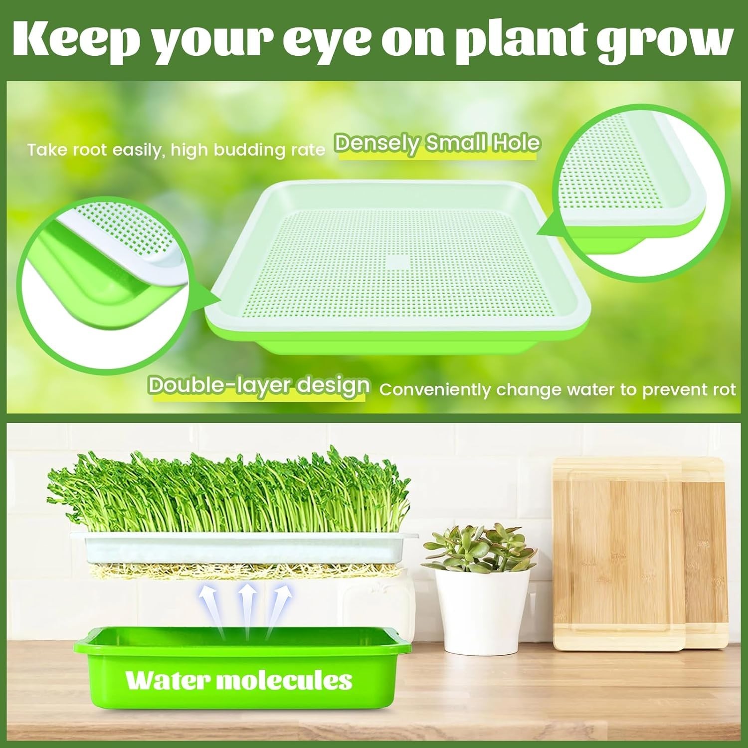 12 Complete SETS Seed Sprouter Tray with Drain Holes Nursery Microgreens Growing gallery