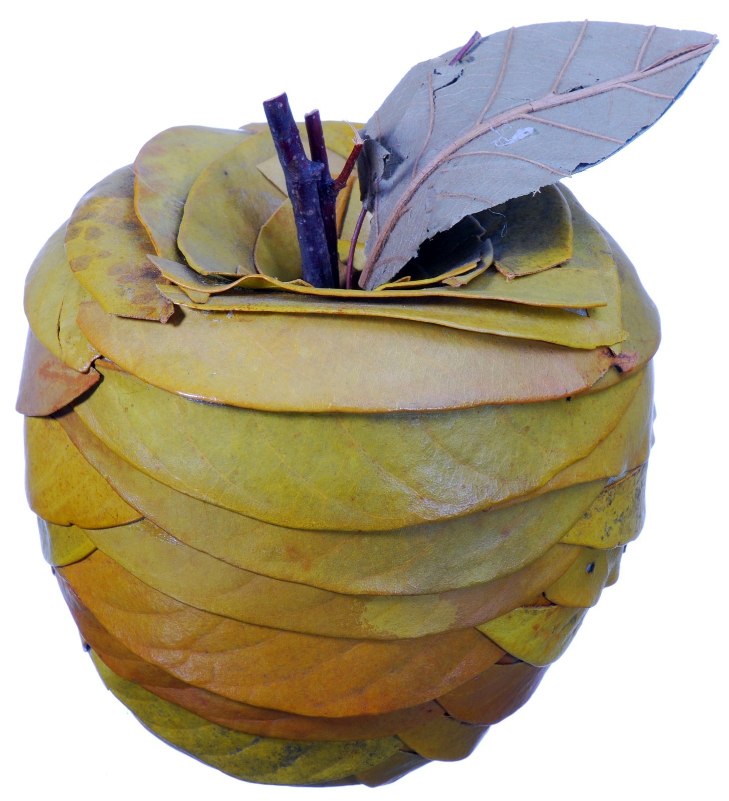 Leaf Twig Apple Natural Green Rustic Country Fruit Craft Decor Filler 630f gallery