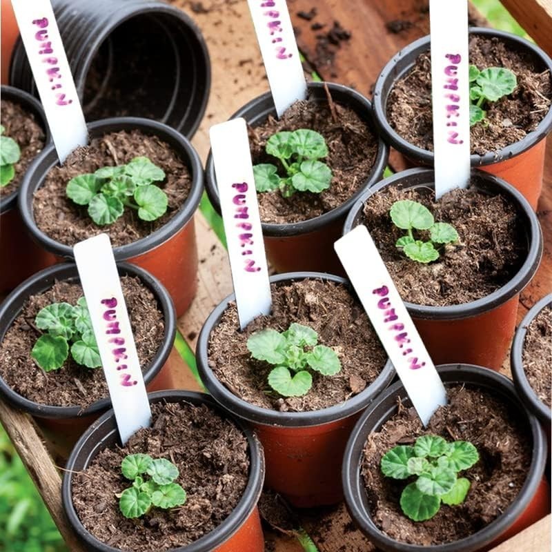 4" Plastic Planter Pots - 50 Count with 50 Labels for Indoor/Outdoor Use gallery