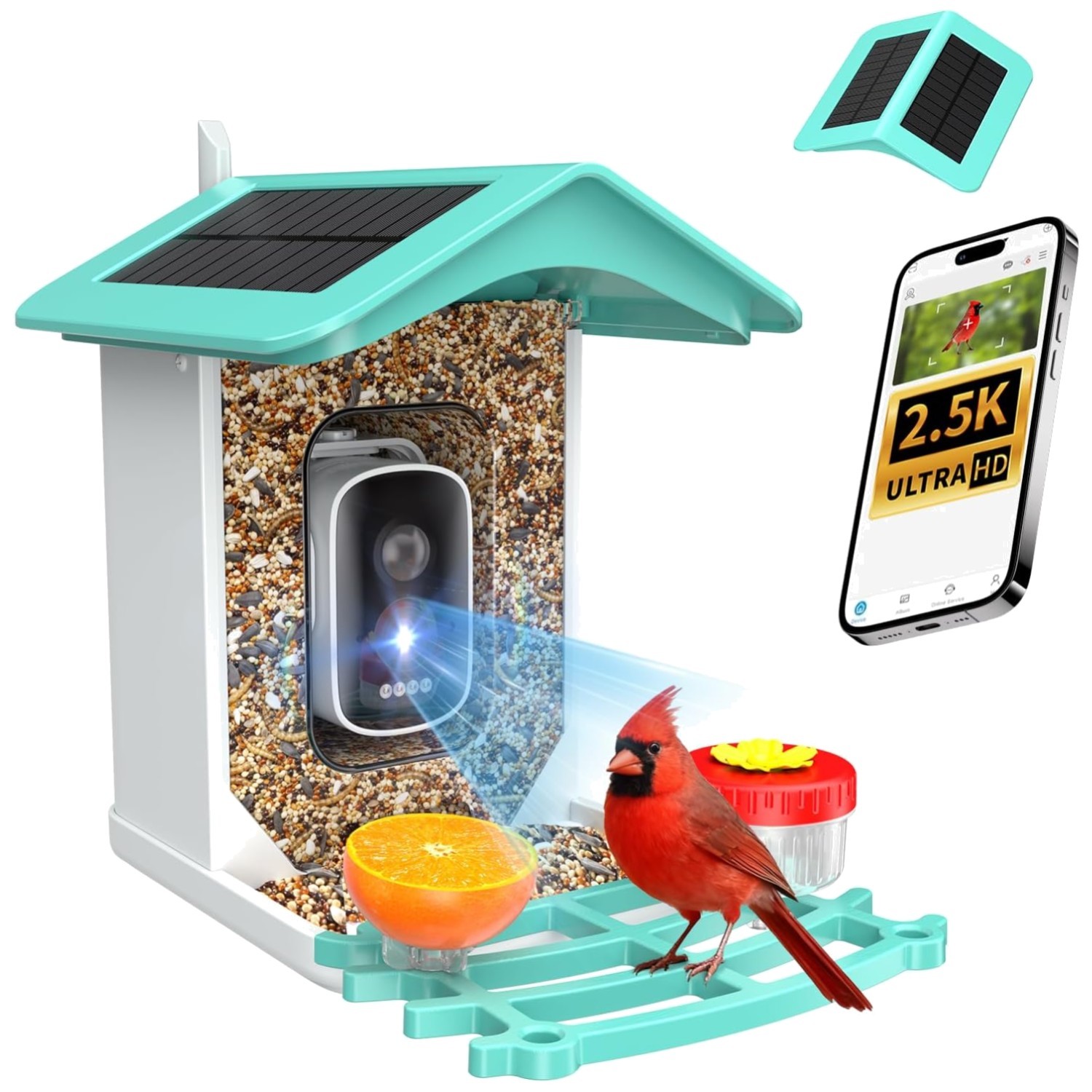 Smart Bird Feeder with Camera, AI Identify 16,000+ Birds gallery