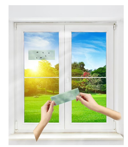 Eliminator 4 Pack Clear Window Fly Trap, Solid Flying Insect Traps Free Shipping gallery