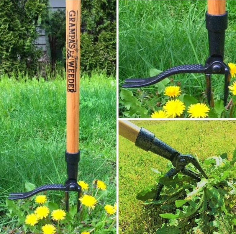 - the Original Stand up Weed Puller Tool with Long Handle - Made with Real Bambo gallery