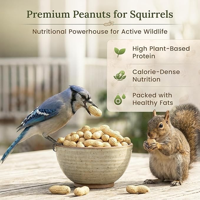 Raw Peanuts for Squirrels Peanuts in Shell for Birds, Deer & Wildlife USA Grown gallery