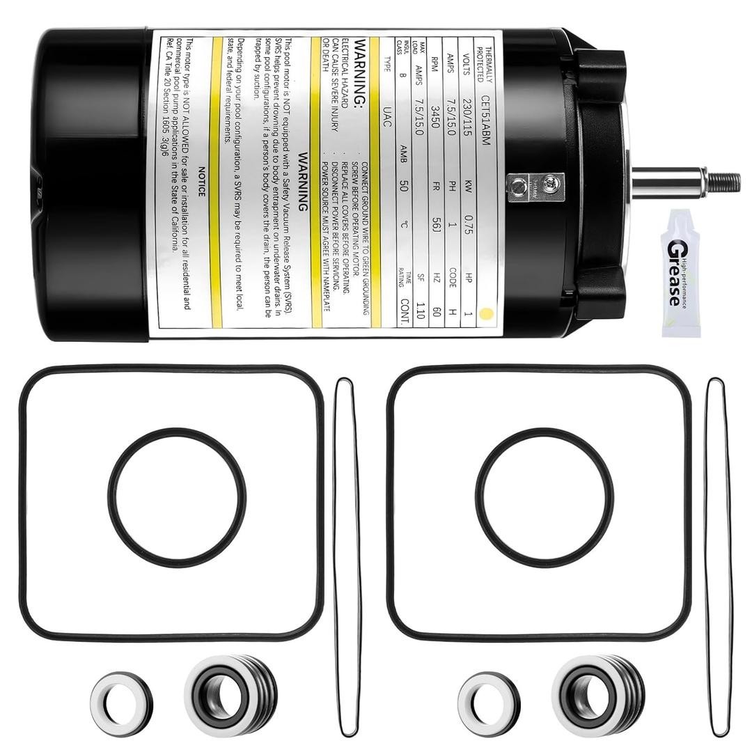 Pool Pump Motor & Seal Kit For Hayward Northstar Super Pump UST1102 230/115 V gallery