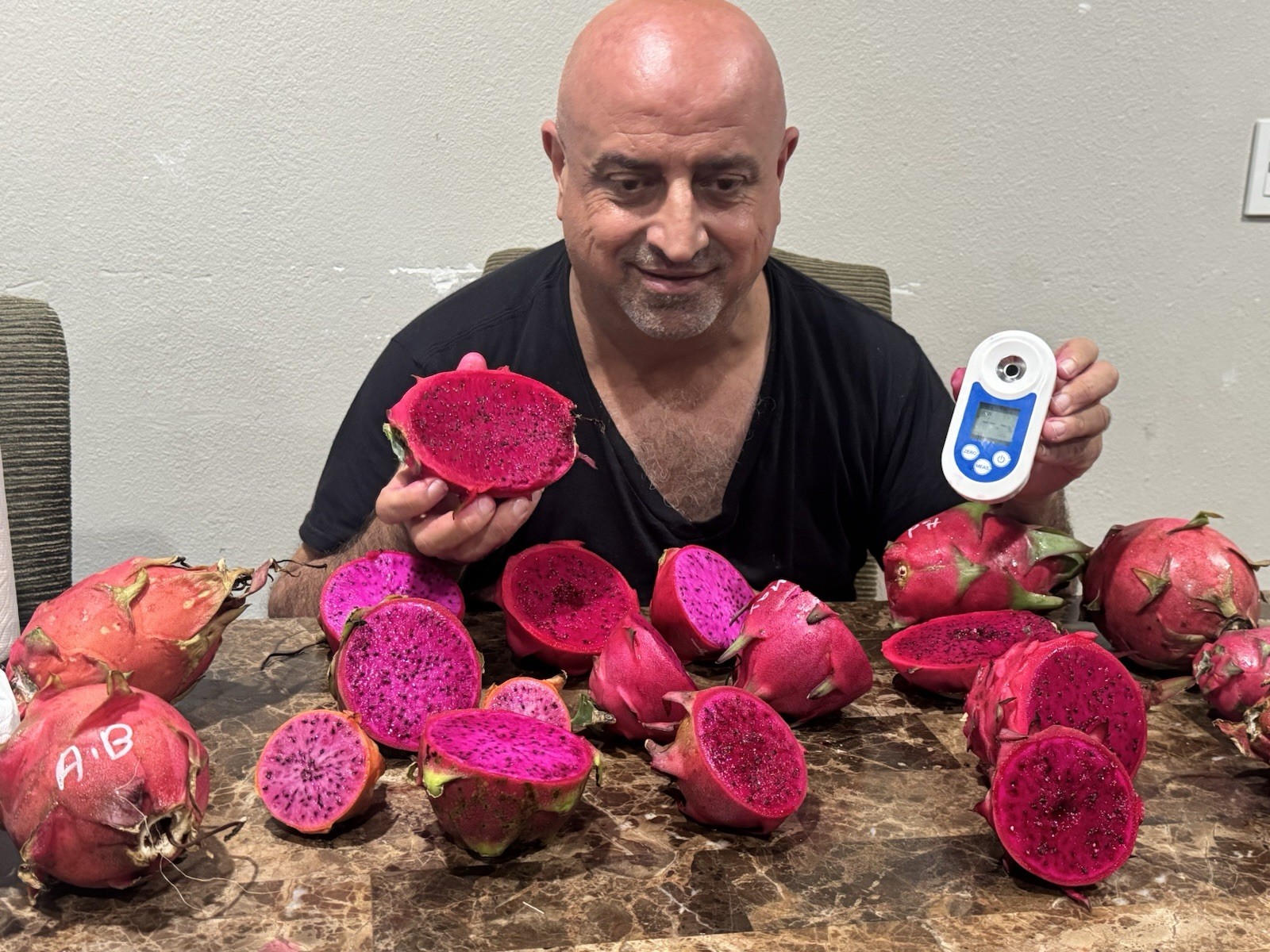 7 Small DRAGON FRUIT CUTTING 5 Inches for Grafting Check Description gallery