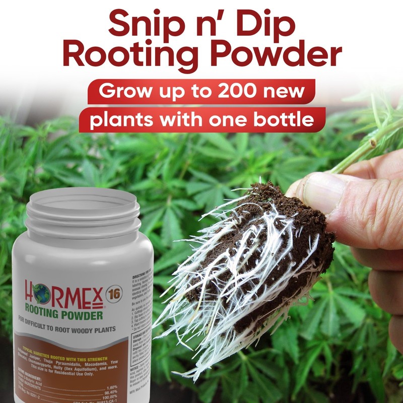 Hormex Rooting Powder #16 - for Difficult to Root Woody Plants - 1.6% IBA gallery