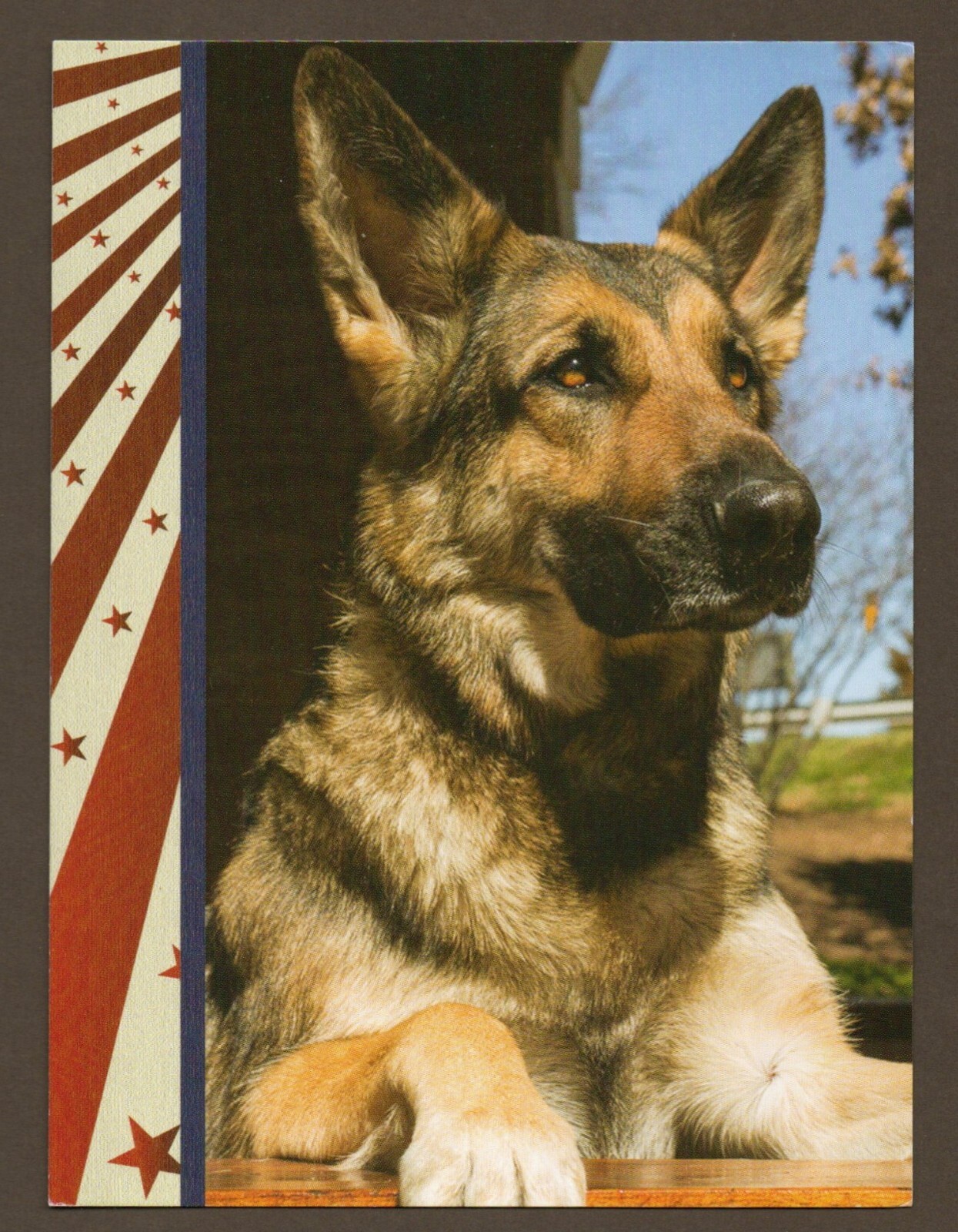 Patriotic German Shepherd Greeting Card, All Occasion, K9 Working Guide Dog gallery