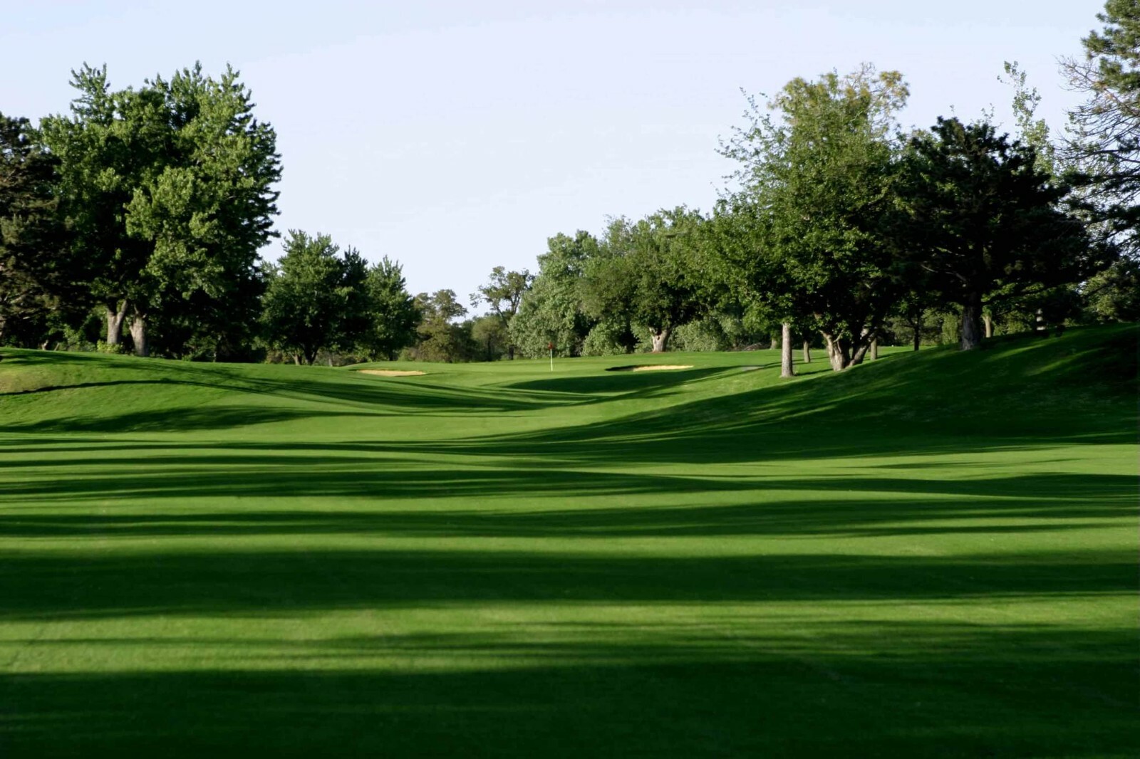 MONACO (RIVIERA) BERMUDA GRASS SEED 1 LBS 1000 sq ft gallery