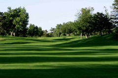 MONACO (RIVIERA) BERMUDA GRASS SEED 1 LBS 1000 sq ft