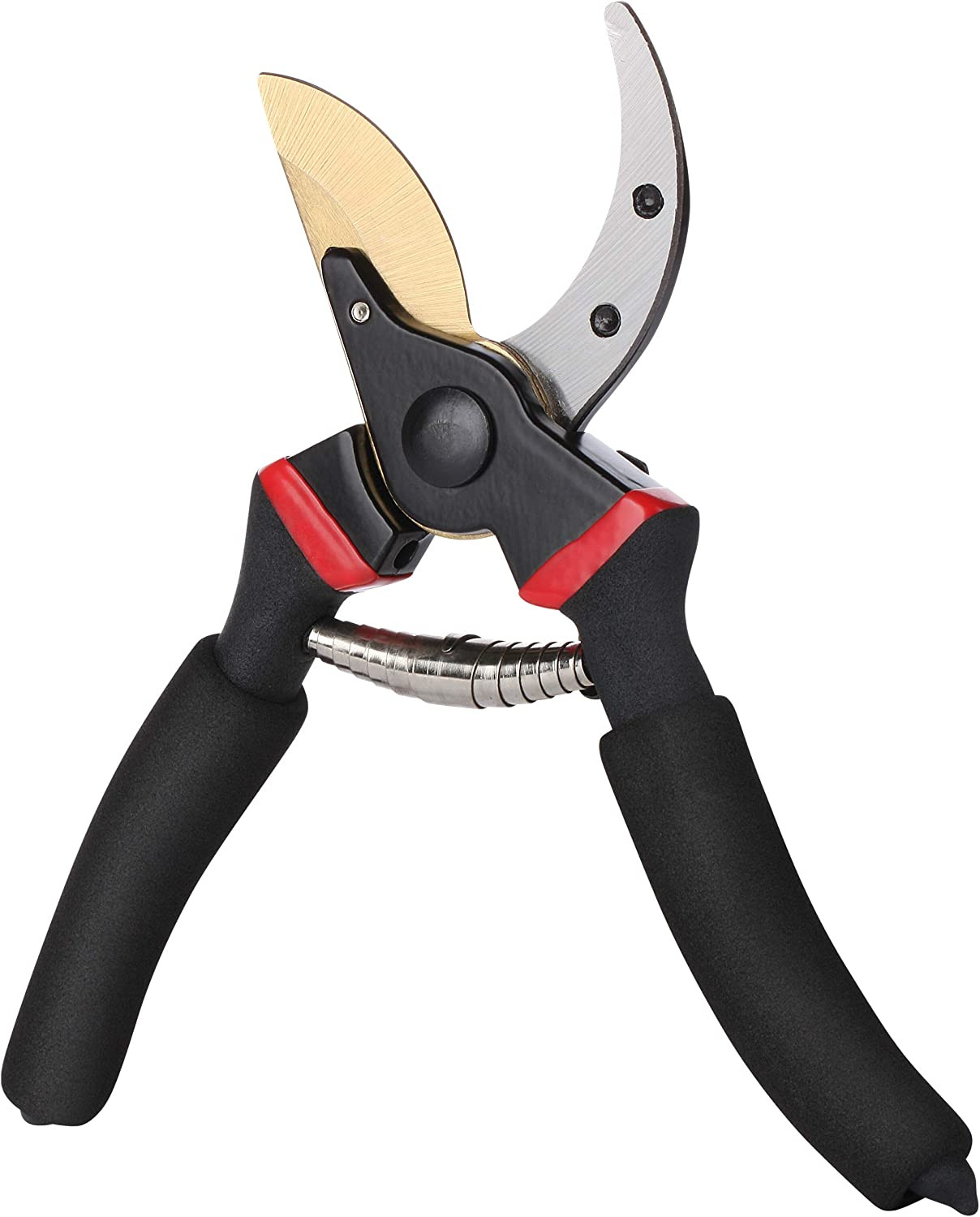 - Pruning Shears Garden Shears 8 Professional Titanium Blade Garden gallery