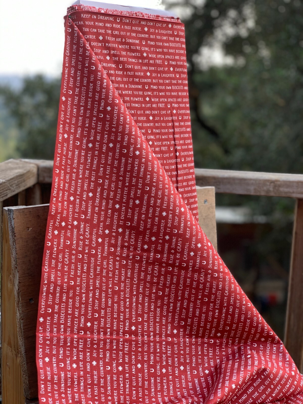 Farm Wisdom Words - Red and White Fabric - Thistle Hill Fabric Collection gallery