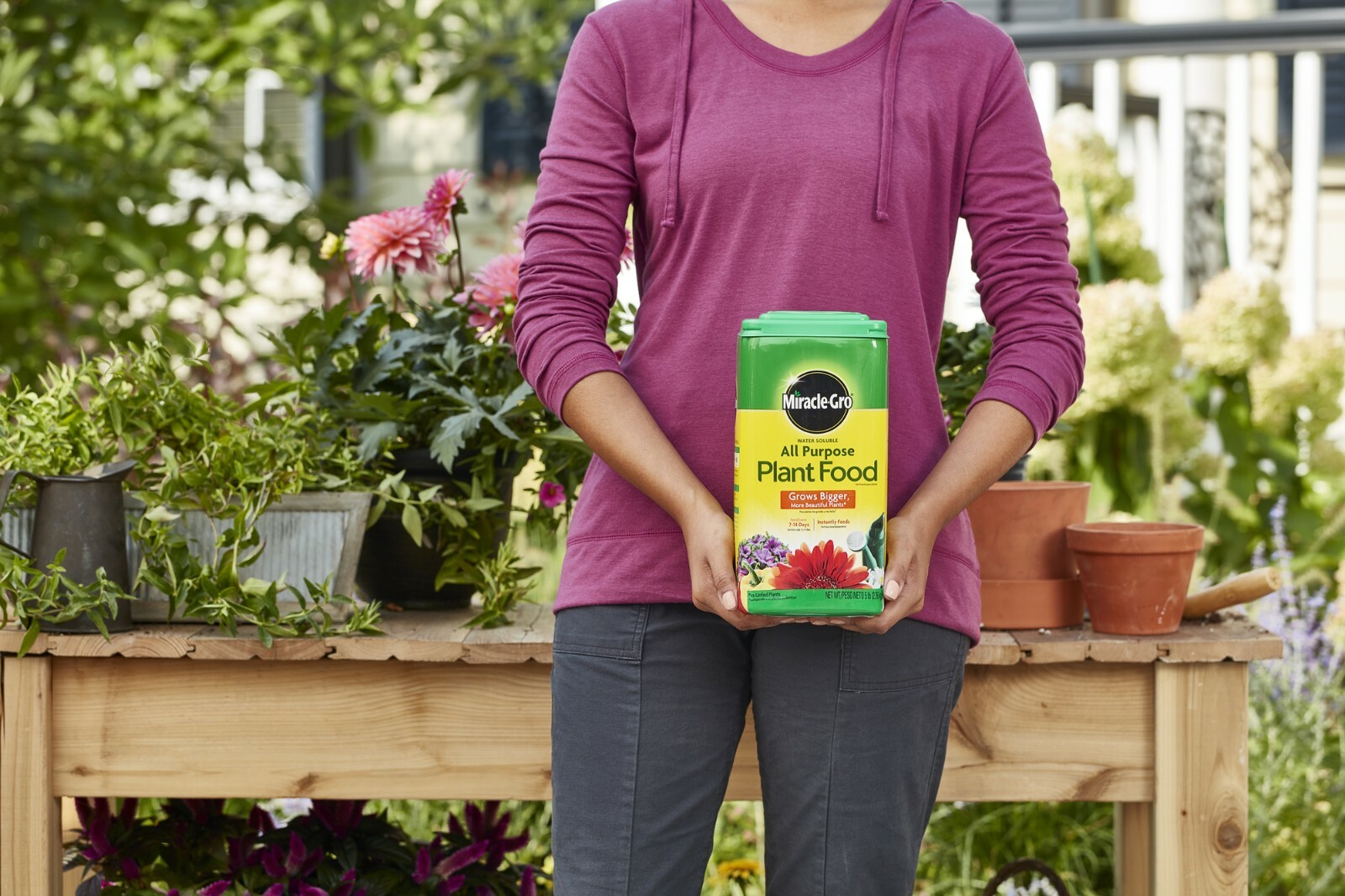 Miracle-Gro Water Soluble All Purpose Plant Food gallery