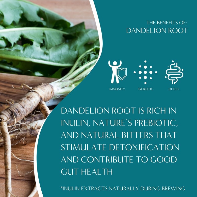 Dandelion Mocha Mint Tea - Caffeine , Roasted Tea with Prebiotics, 3x More He... gallery