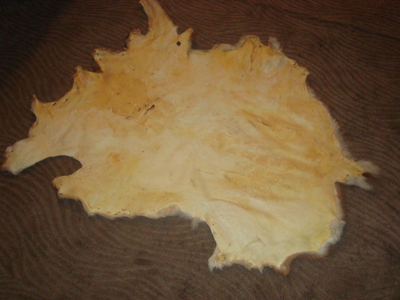 Medium size. White Tail Deer Hide Rug Deer Skin Deer Decor Animals Mat gallery
