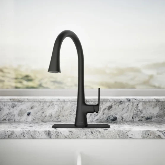 Kohler Guild Pull-down Kitchen Sink Faucet Matte Black R33912-BL 3fun Sprayhead gallery