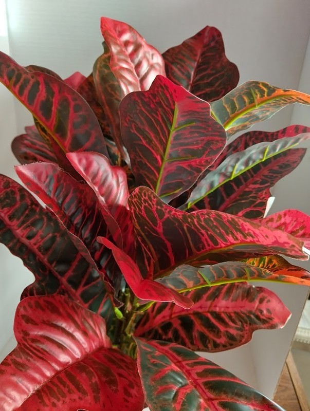 LARGE Artificial Croton plant RED gallery