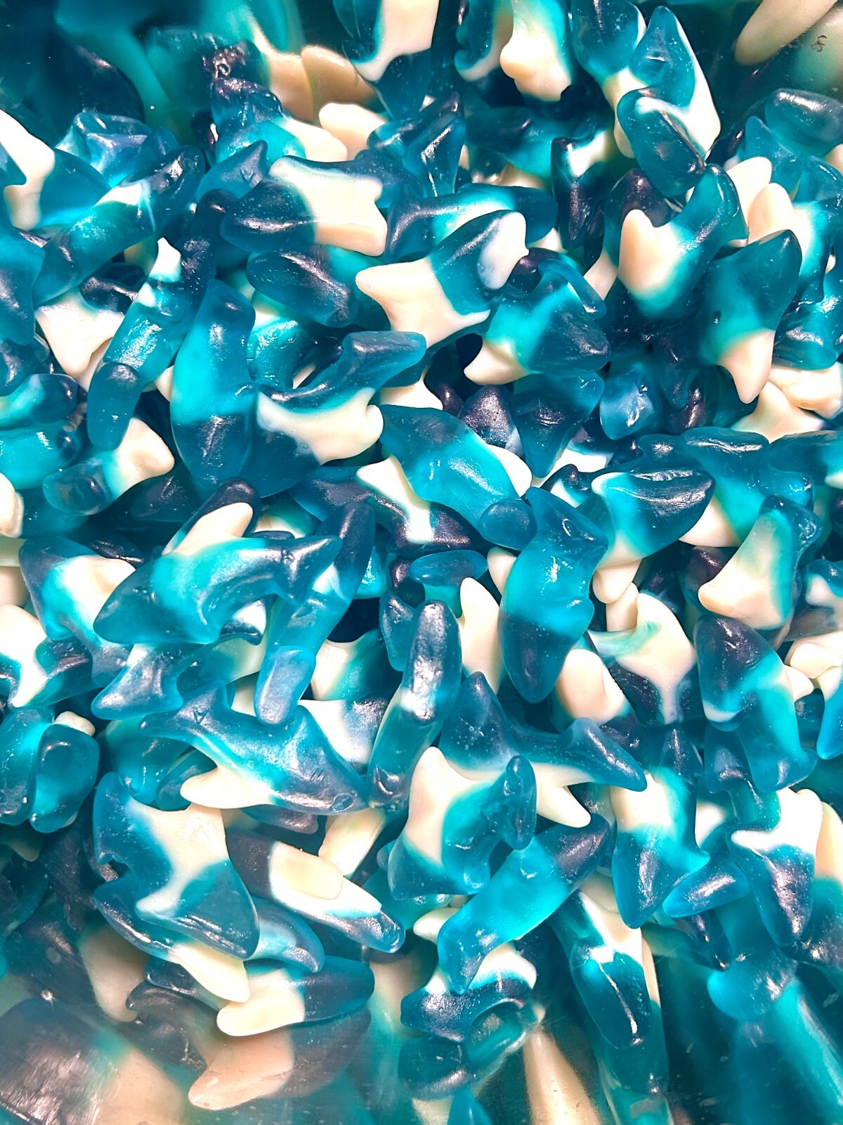 Blue Raspberry Gummy Shark Candy 8oz 1LB 2LB 3LB 4LB 4.5LB Fresh Sharks gallery