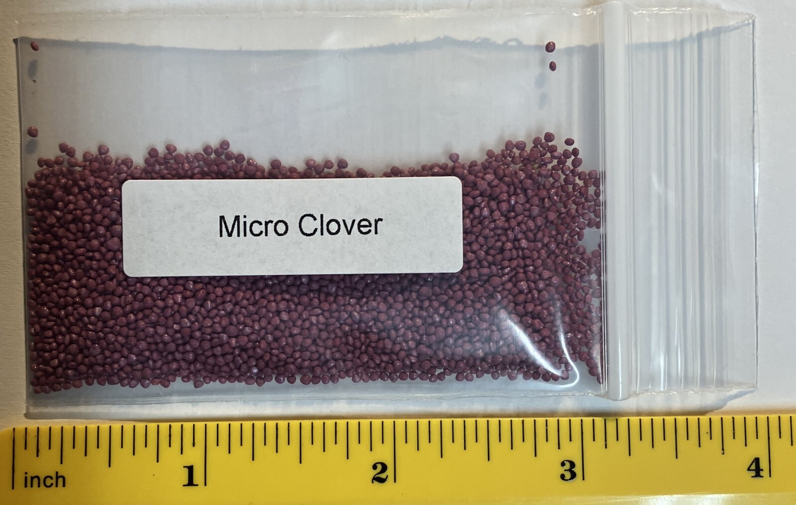 Micro clover seeds 1000-2000 seeds - ground cover - drought resistant gallery