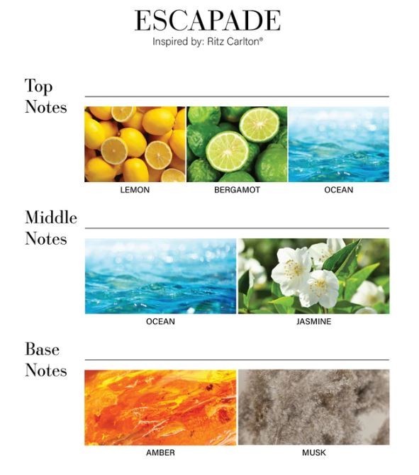 Escapade 500mL Diffuser Oil Inspired By Ritz Carlton - Hotel Collection Aroma360 gallery