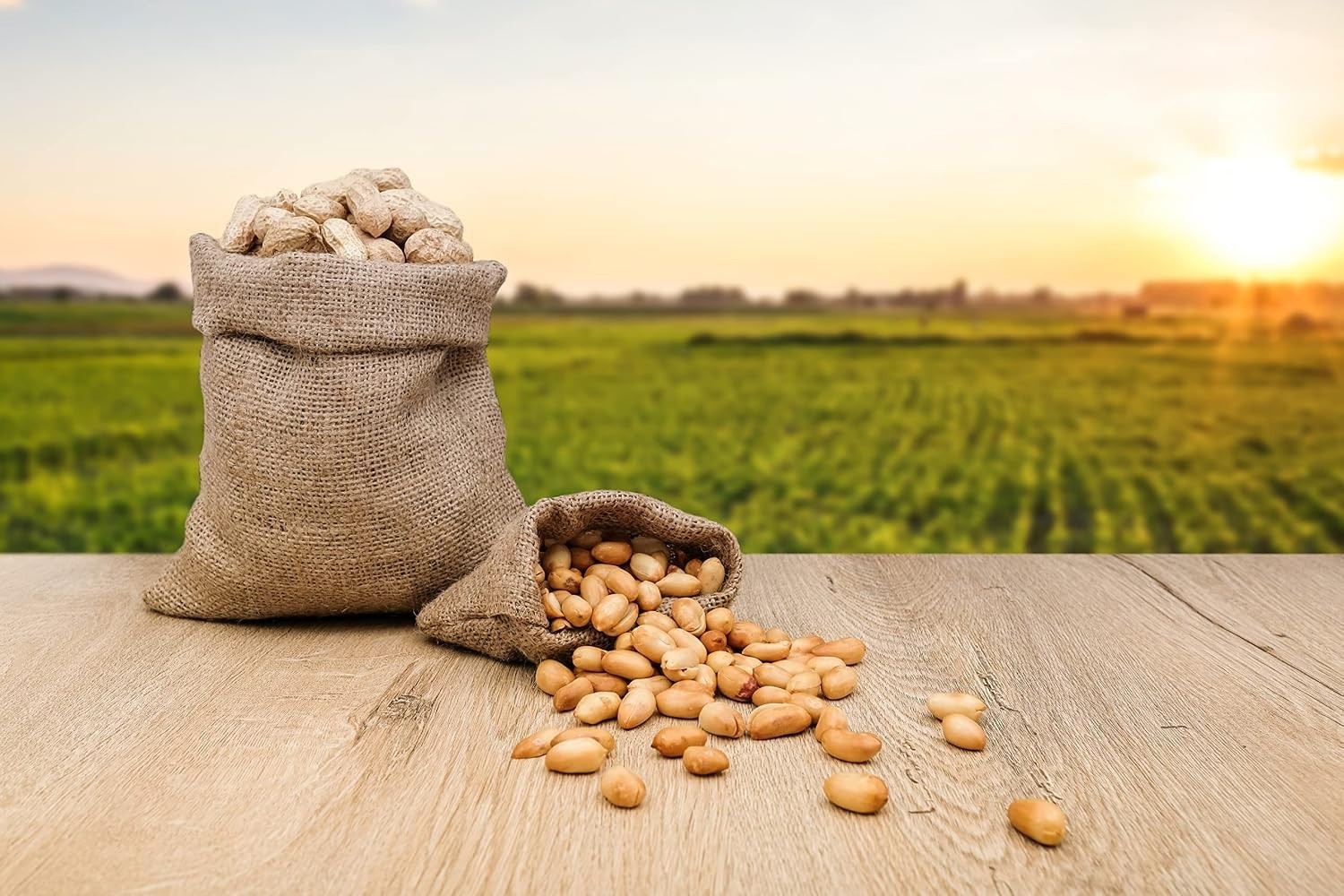 Raw Peanuts for Squirrels & Birds, 96oz (3-pack) gallery