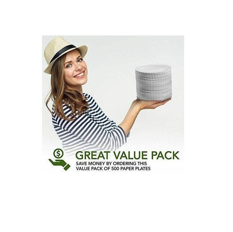 500 Count 9-Inch Paper Plates Uncoated Disposable Dinner Plates White gallery
