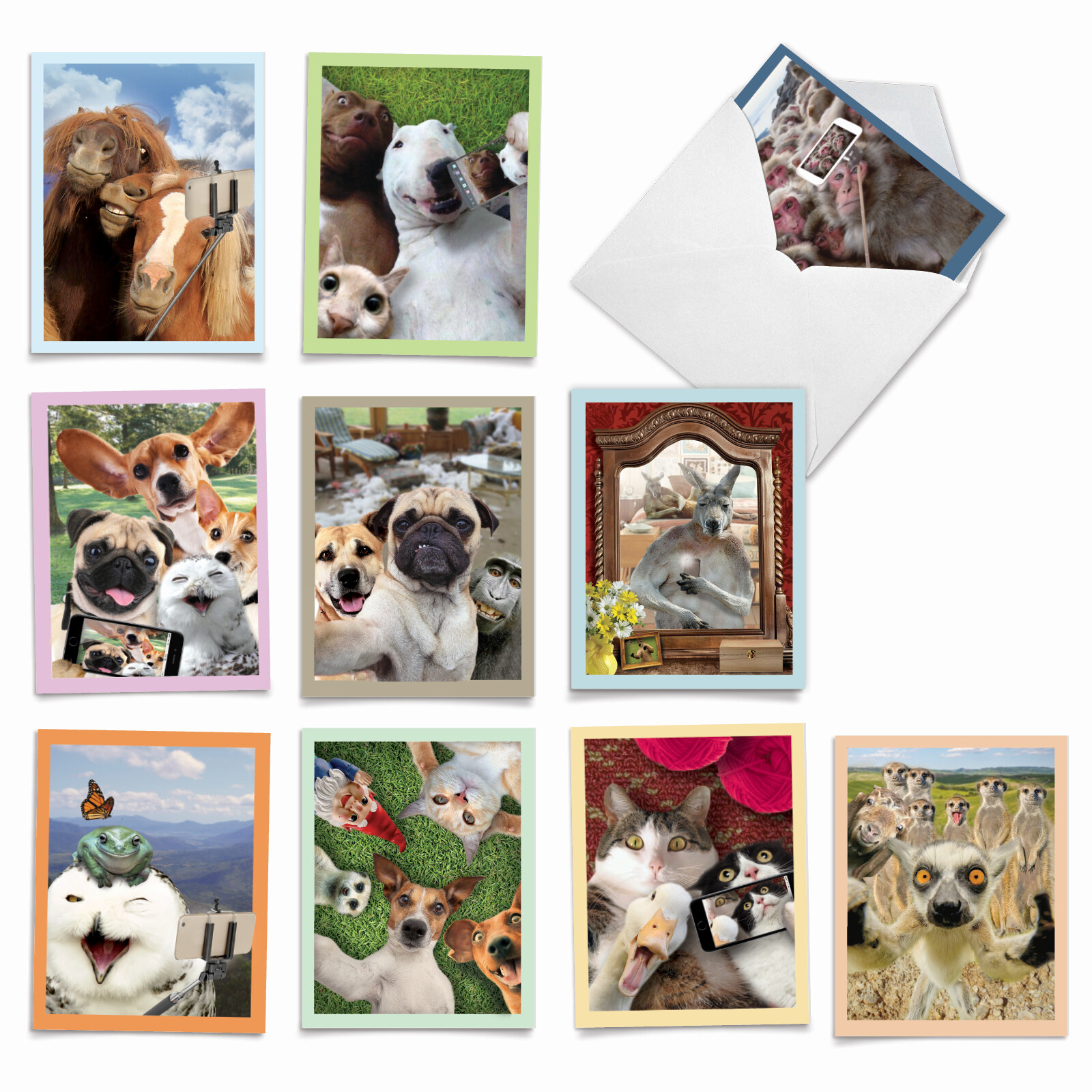 10 Assorted All Occasion Blank Note Cards - ANIMAL SELFIES M2373OCB gallery