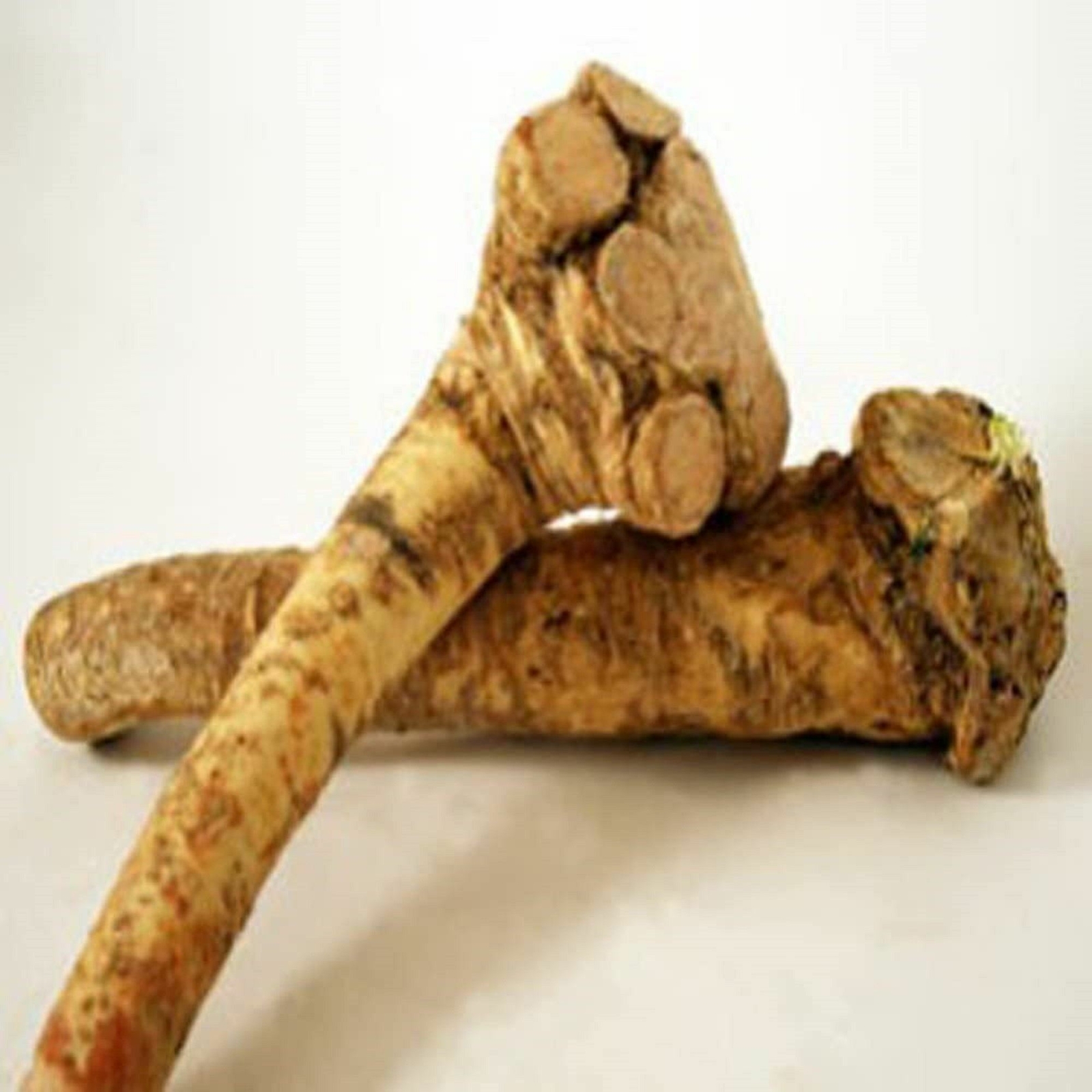 Horseradish Root whole, Ready for Eating, Planting. Can't Ship internationally. gallery