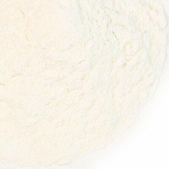 Lime Juice Powder | Bulk | Spice Jungle