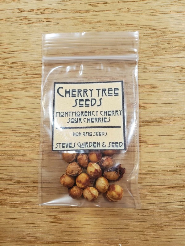 Cherry Tree Seeds |Montmorency Sour Cherry NON-GMO | Missouri Orchard | 15 seeds gallery