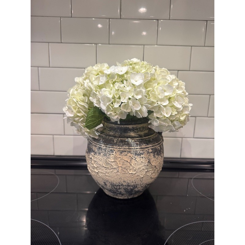 Rustic Distressed Terracotta Amphora Vase Double Handle Textured Aged Pottery gallery