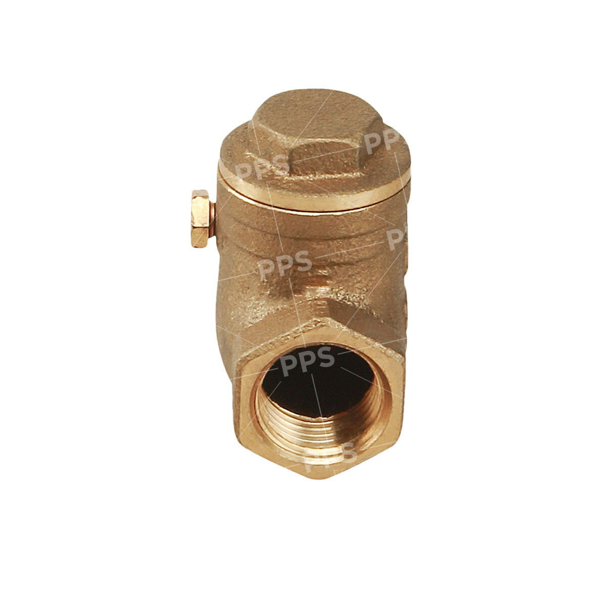 FIP Brass Swing Check Valve Connections Threaded Plumbing Fitting 1/2"in-4"in gallery