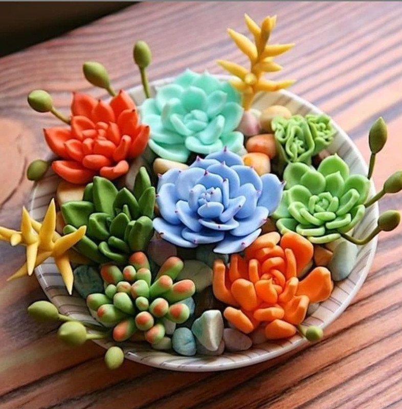 100pcs Mixed Rare Succulent Seeds, Mult-Color Indoor/Outdoor Plant gallery