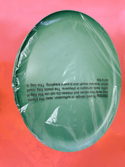 6 PACK Room Essentials Large (12 x 15 in)  Oval Serving Plastic Platter Green gallery