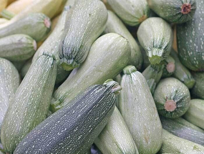 Zucchini Grey Summer Squash - Heirlooms - 2.grams gallery