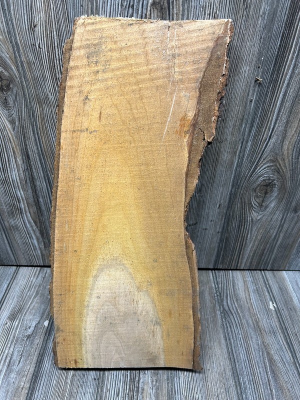 Cherry Bark Unique Slab Approximately 18 x 9 x 2 Inches gallery