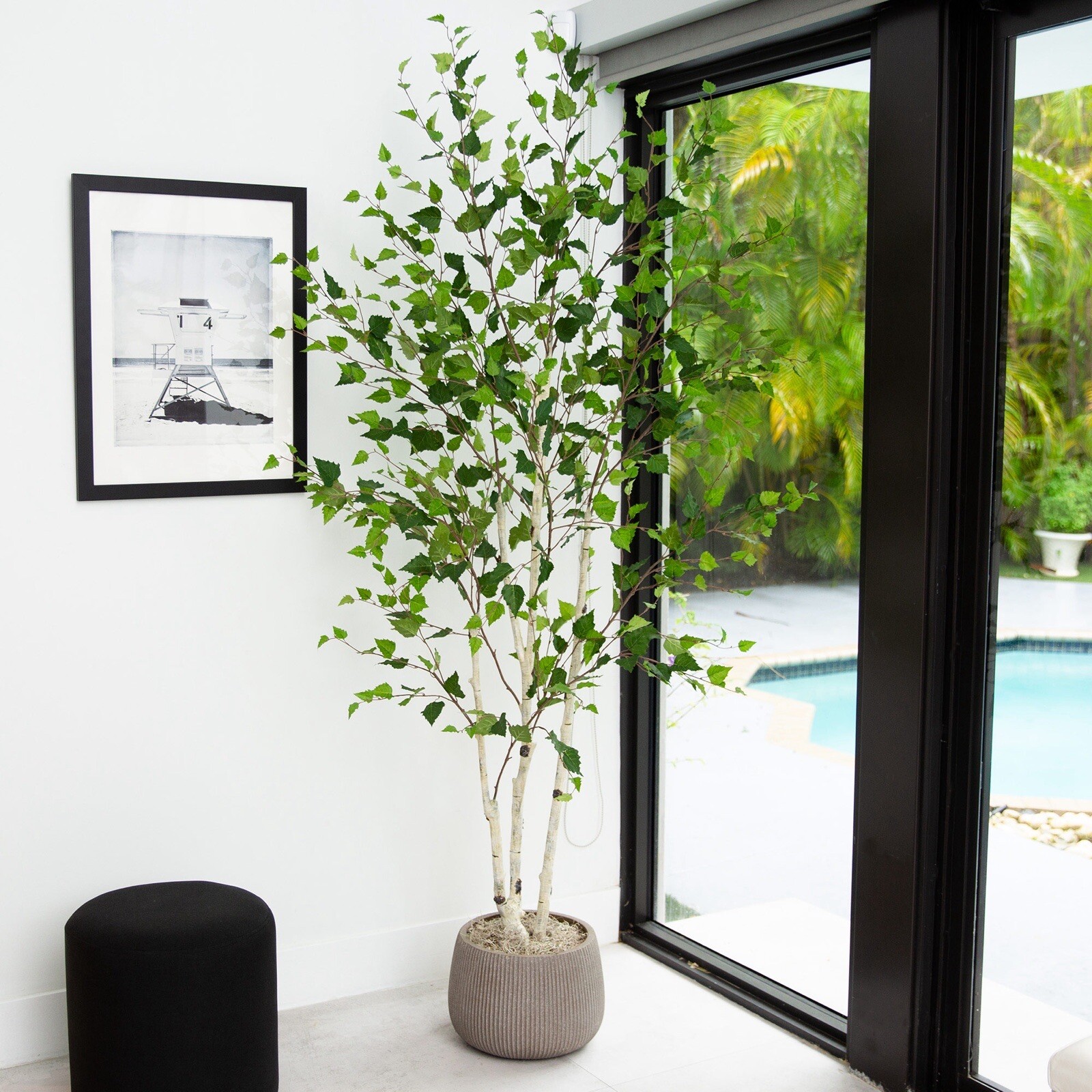 7’ Artificial Birch Tree Home Decor. Retail $259 gallery