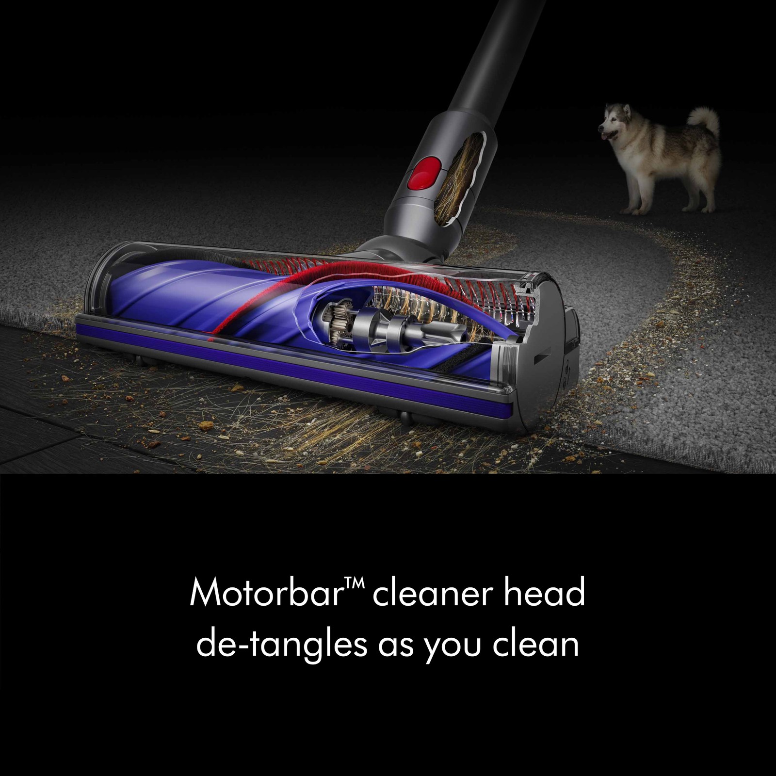 SV28 V11 Extra Cordless Vacuum Cleaner | Iron | Refurbished gallery